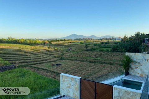 4 bedrooms Villa in Canggu, Badung, Bali (5758) 3