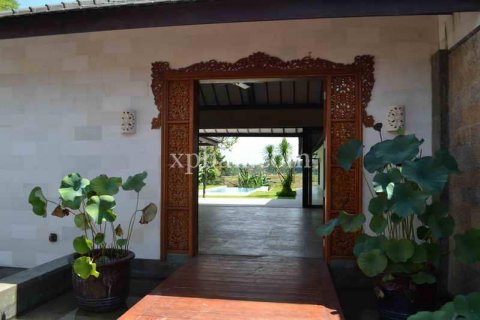 6 bedrooms Villa in Canggu, Badung, Bali (971) 3