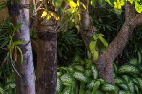 2 bedrooms Villa in Seminyak, Badung, Bali (1655) 13