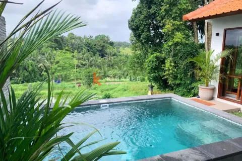 2 bedrooms Villa in Mengwi, Badung, Bali (13011) 2