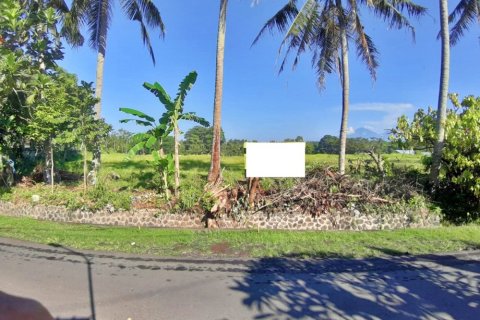 Tanah kavling di Mengwi, Badung, Bali (12293)