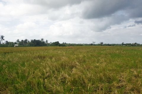 Land in Kediri, Tabanan, Bali (12292) 4