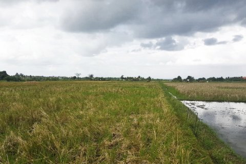 Tanah kavling di Kediri, Tabanan, Bali (12292)