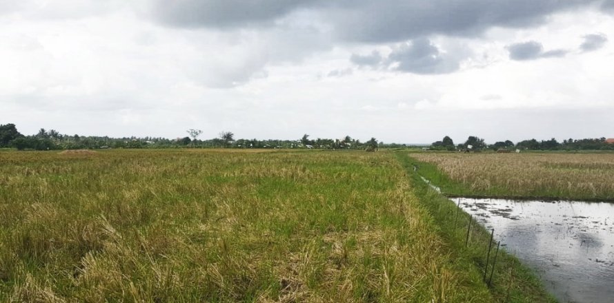Land in Kediri, Tabanan, Bali (12292)