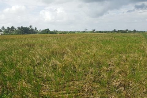 Land in Kediri, Tabanan, Bali (12292) 3