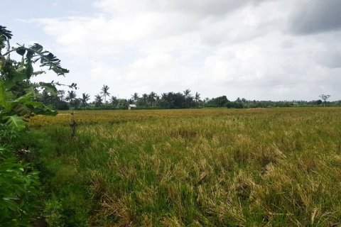 Land in Kediri, Tabanan, Bali (12292) 2