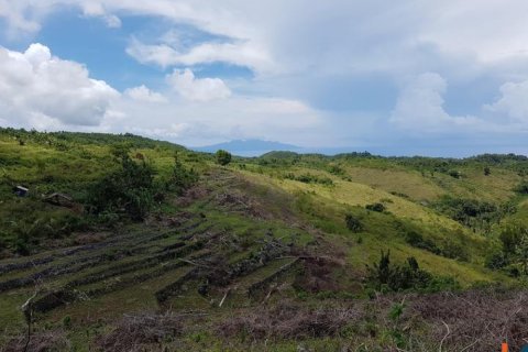 Land in Klungkung, Bali (12261) 6