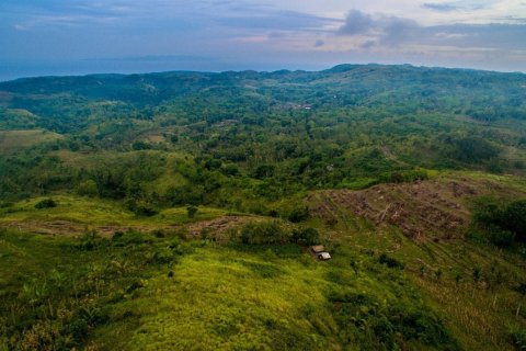 Land in Klungkung, Bali (12261) 4
