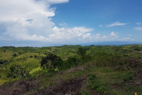 Land in Klungkung, Bali (12261) 8
