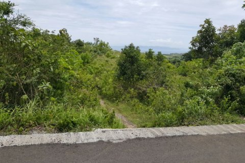 Land in Klungkung, Bali (12261) 10