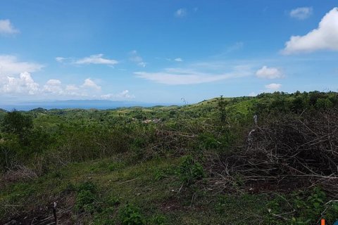 Land in Klungkung, Bali (12261) 5