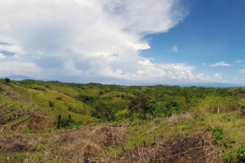 Land in Klungkung, Bali (12261) 3
