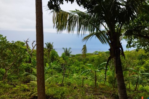Land in Klungkung, Bali (12259) 3
