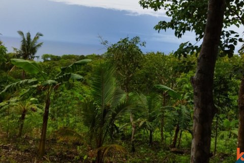 Land in Klungkung, Bali (12259) 2