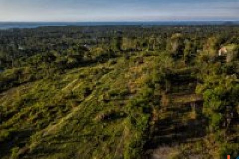 Land in Buleleng, Bali (12260) 15