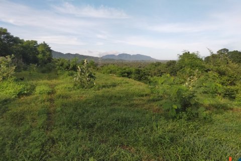 Land in Buleleng, Bali (12260) 12