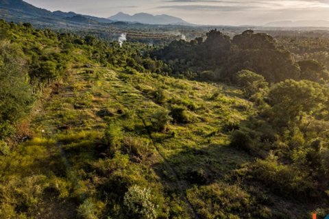 Land in Buleleng, Bali (12260) 8