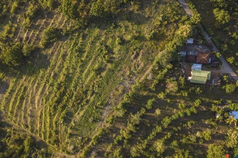 Land in Buleleng, Bali (12260) 2