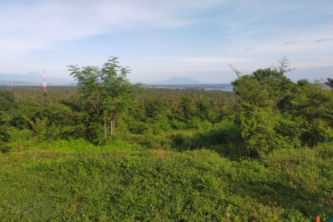 Land in Buleleng, Bali (12260) 13