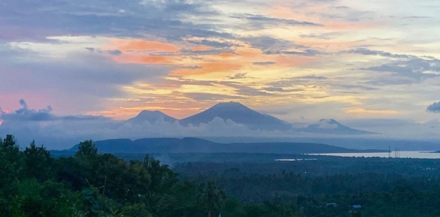 Land in Buleleng, Bali (12260)