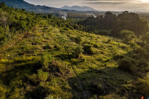 Land in Buleleng, Bali (12260) 10