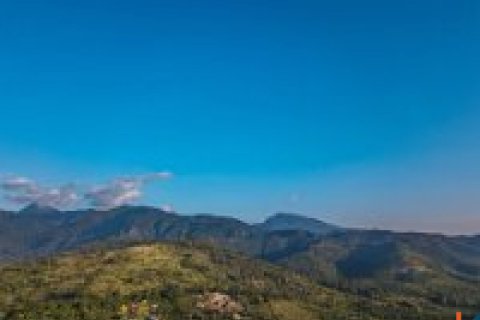 Land in Buleleng, Bali (12260) 5