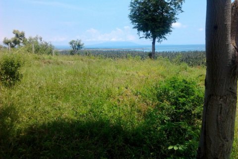 Land in Buleleng, Bali (12260) 6