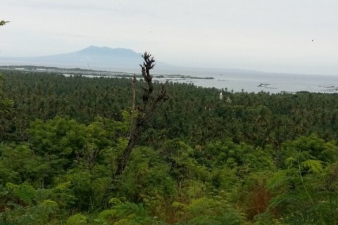 Land in Buleleng, Bali (12260) 7