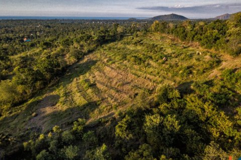 Land in Buleleng, Bali (12260) 3