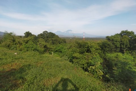Land in Buleleng, Bali (12260) 11