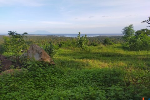 Land in Buleleng, Bali (12260) 14