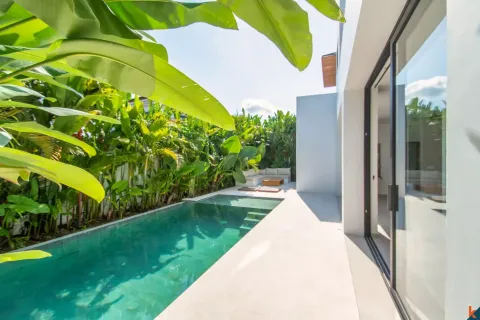 3 bedrooms Villa in Tumbak Bayuh, Mengwi, Badung, Bali (10927) 2