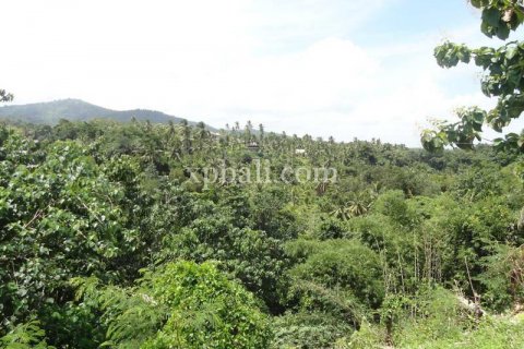 13250m2 Land in Negara, Jembrana, Bali (865) 10