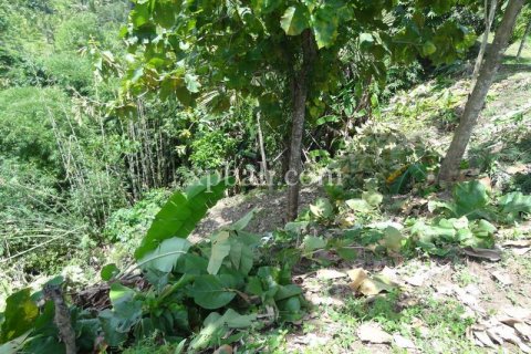 13250m2 Land in Negara, Jembrana, Bali (865) 7