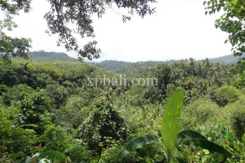 13250m2 Land in Negara, Jembrana, Bali (865) 4