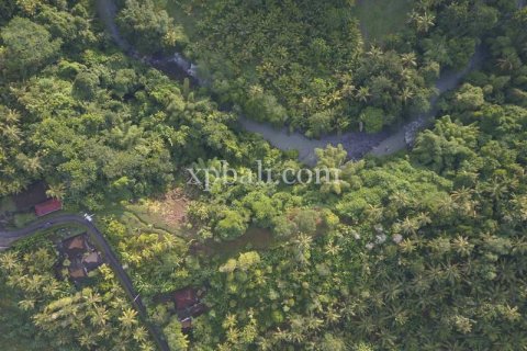 13250m2 Land in Negara, Jembrana, Bali (865) 3