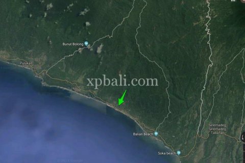 13250m2 Land in Negara, Jembrana, Bali (865) 2