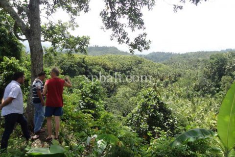 Tanah kavling 13250m2 di Negara, Jembrana, Bali (865)