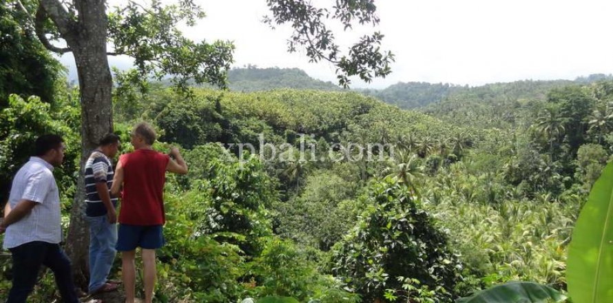 13250m2 Land in Negara, Jembrana, Bali (865)