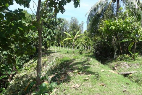 13250m2 Land in Negara, Jembrana, Bali (865) 6