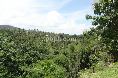 13250m2 Land in Negara, Jembrana, Bali (865) 8