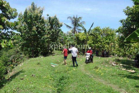 13250m2 Land in Negara, Jembrana, Bali (865) 9