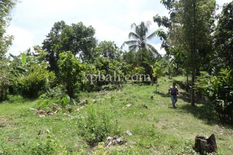 13250m2 Land in Negara, Jembrana, Bali (865) 5
