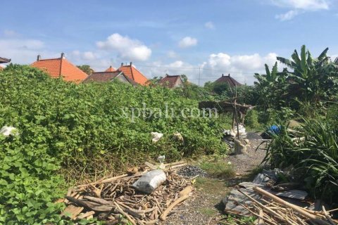 Земельный участок 2530м2 в Гианьяр, Бали (864) 6
