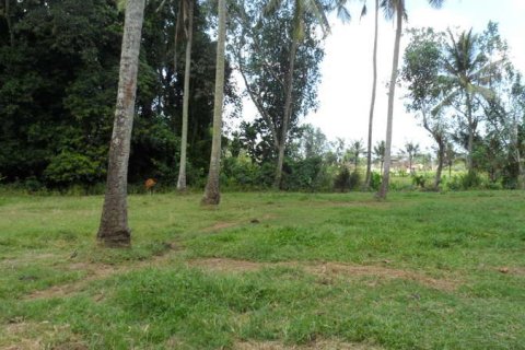 19400m2 Land in Tabanan, Bali (14008) 2