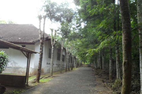19400m2 Land in Tabanan, Bali (14008) 5