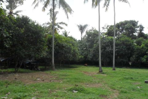 19400m2 Land in Tabanan, Bali (14008) 9