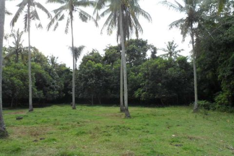 19400m2 Land in Tabanan, Bali (14008) 12