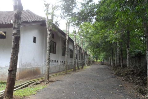 19400m2 Land in Tabanan, Bali (14008) 4