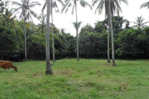 19400m2 Land in Tabanan, Bali (14008) 13